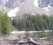 Mont 03 P085